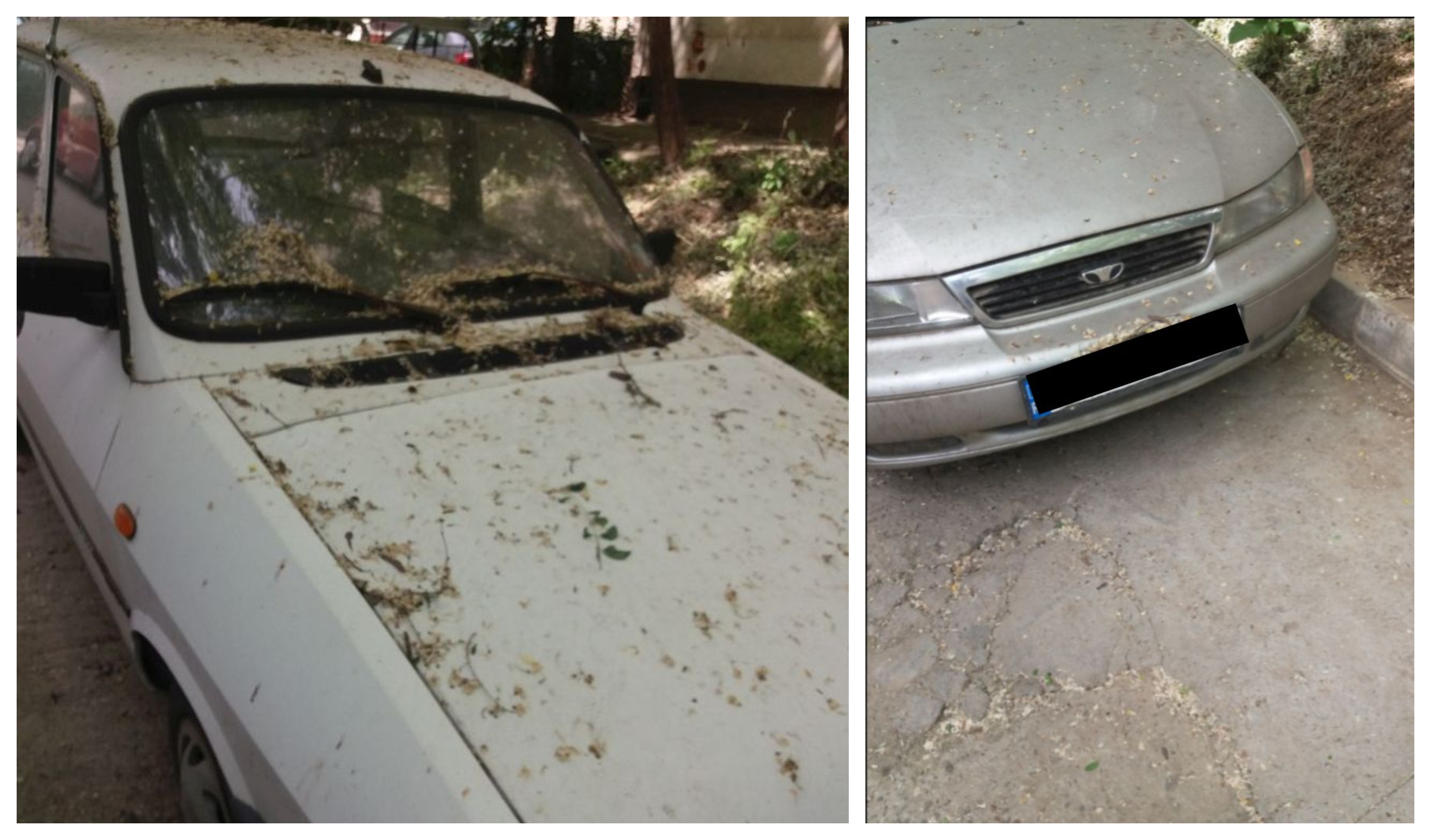 Maşini abandonate în Mazepa II