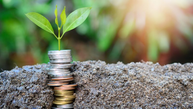 "Creditul Fermierului", cu dobânzi subvenționate în agricultură