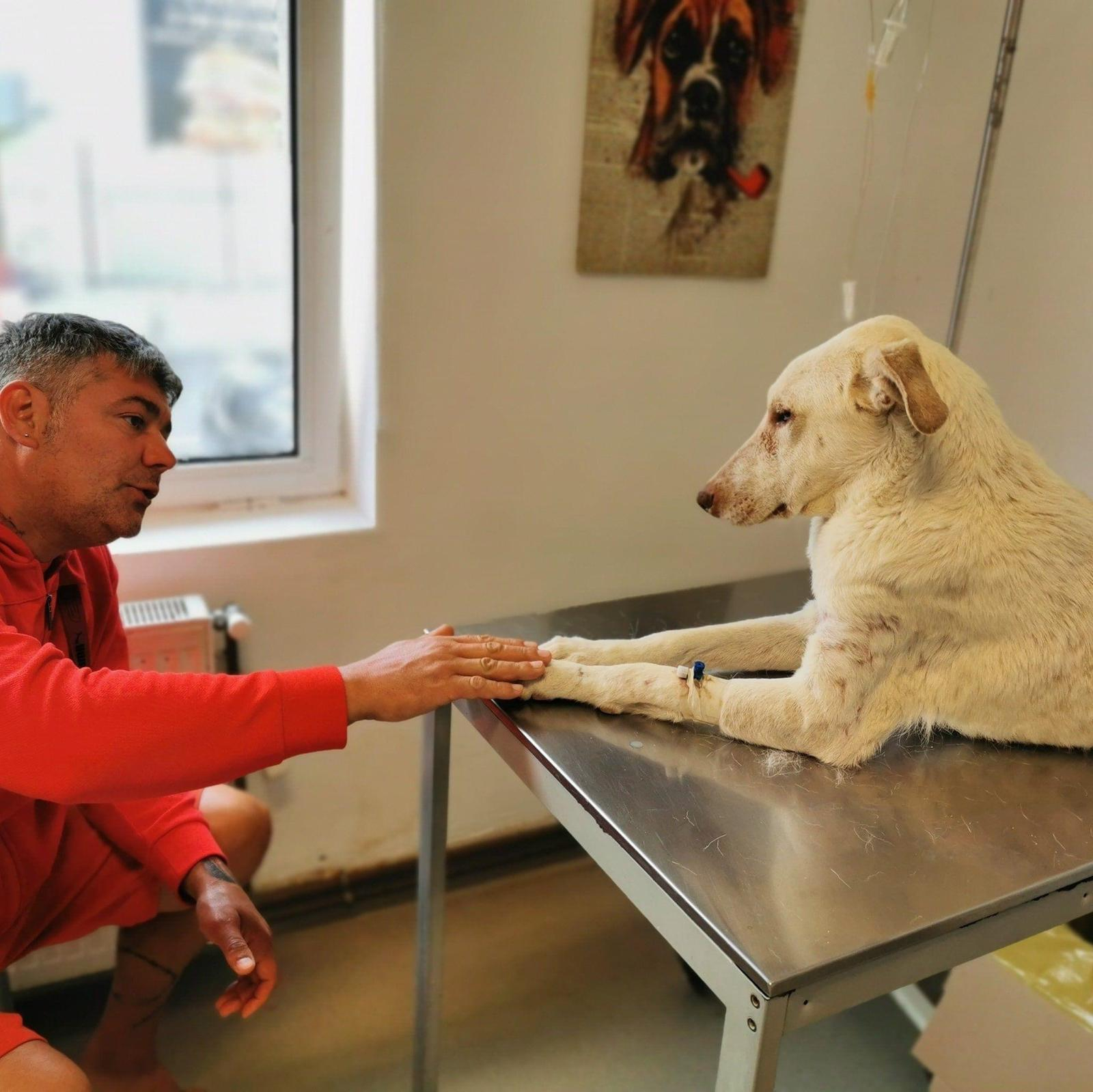 Reality show dedicat salvatorilor de animale