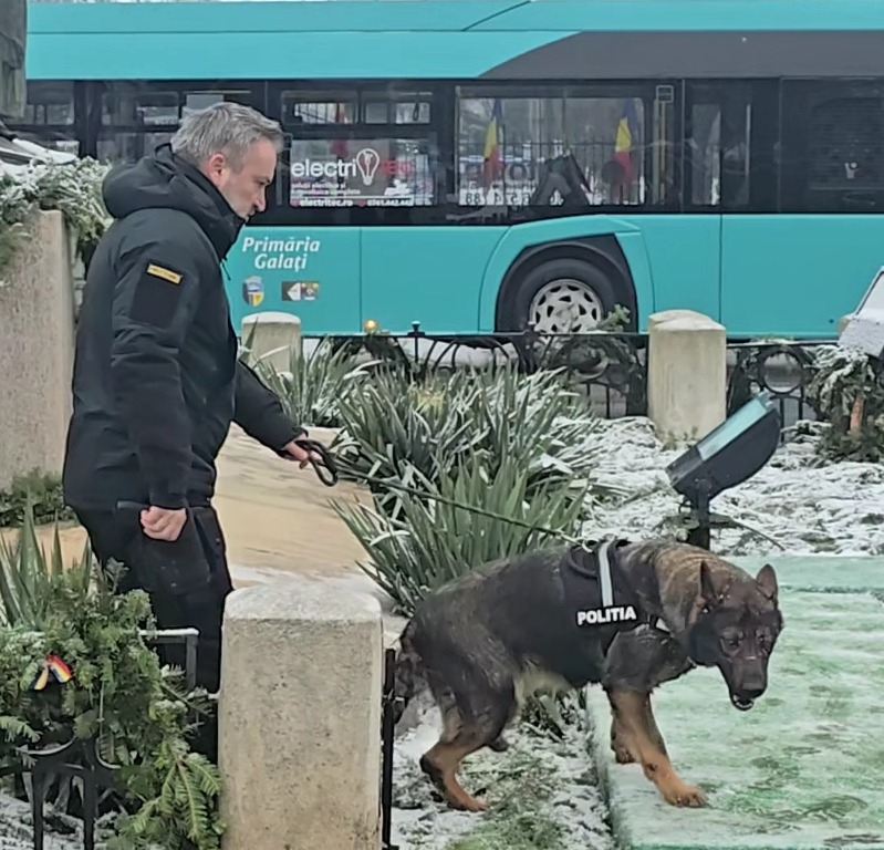 O cățelușă care găseşte materiale explozibile a securizat Ziua Unirii