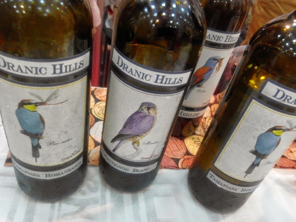 Goodwine/ Cele mai bune vinuri de primăvară (I) 