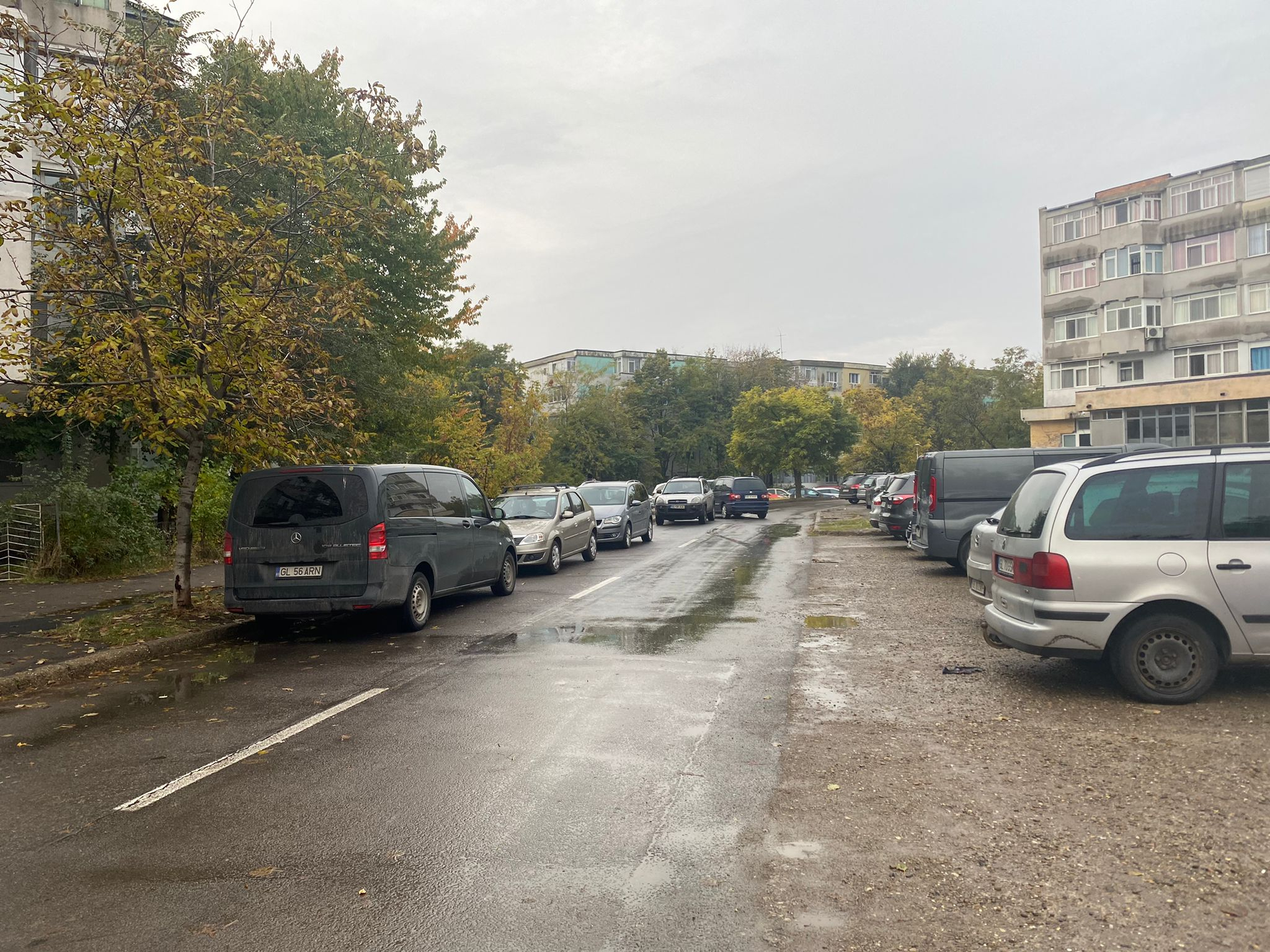 Talciocul, bucurie doar pentru iubitorii de chilipiruri