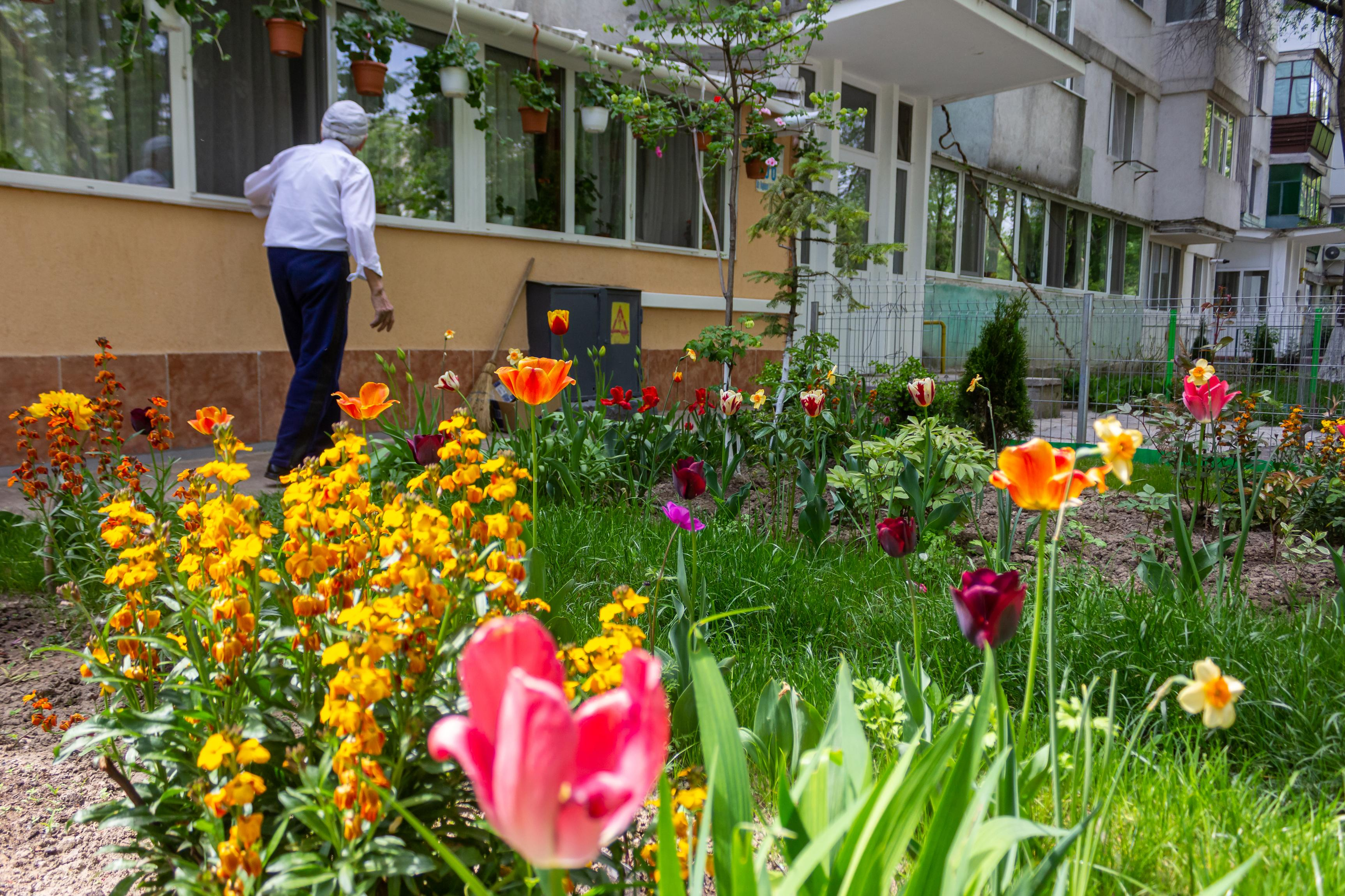 Mână de la mână pentru o grădină de vis (FOTO)