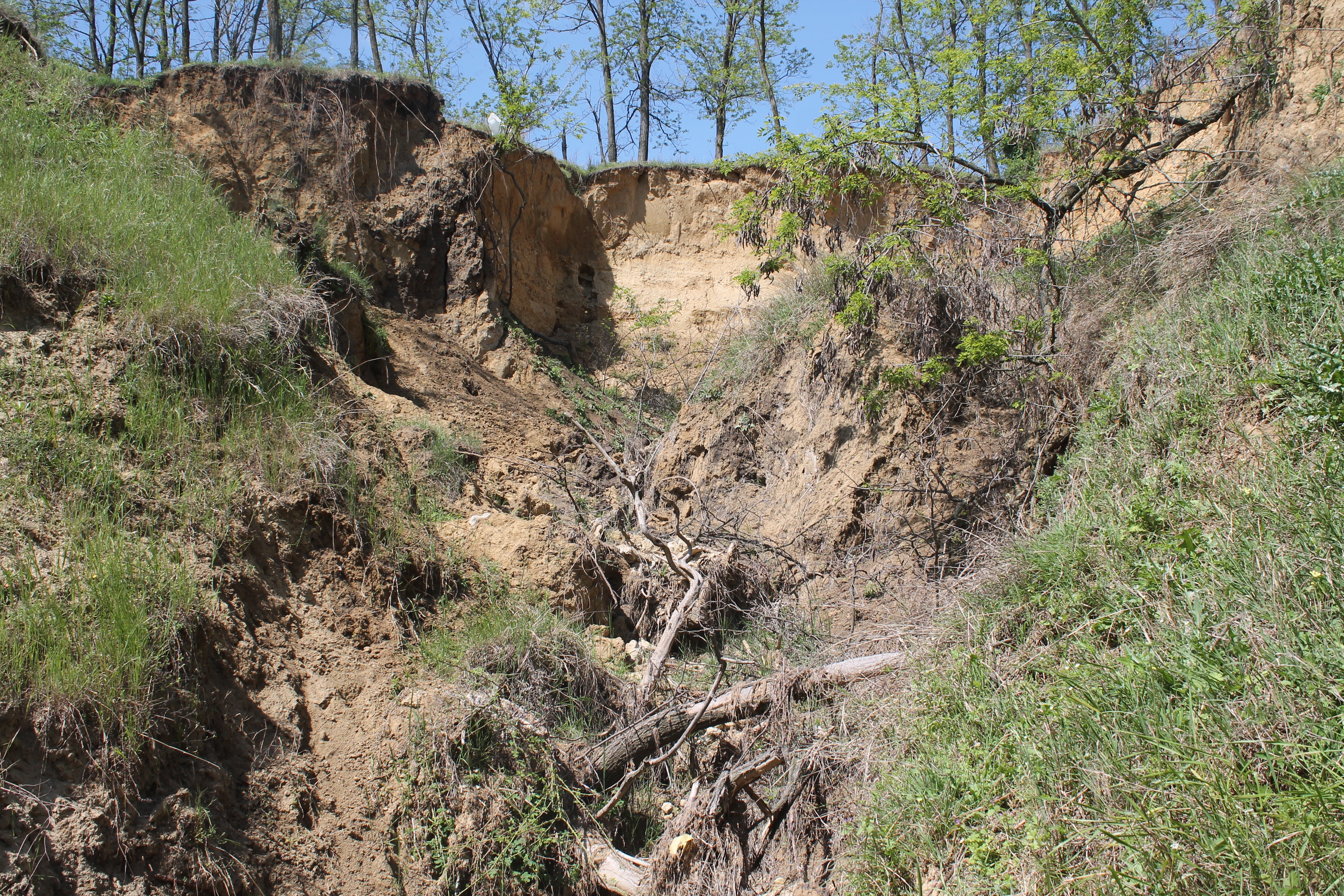 O singură INVESTIŢIE în combaterea eroziunii solului