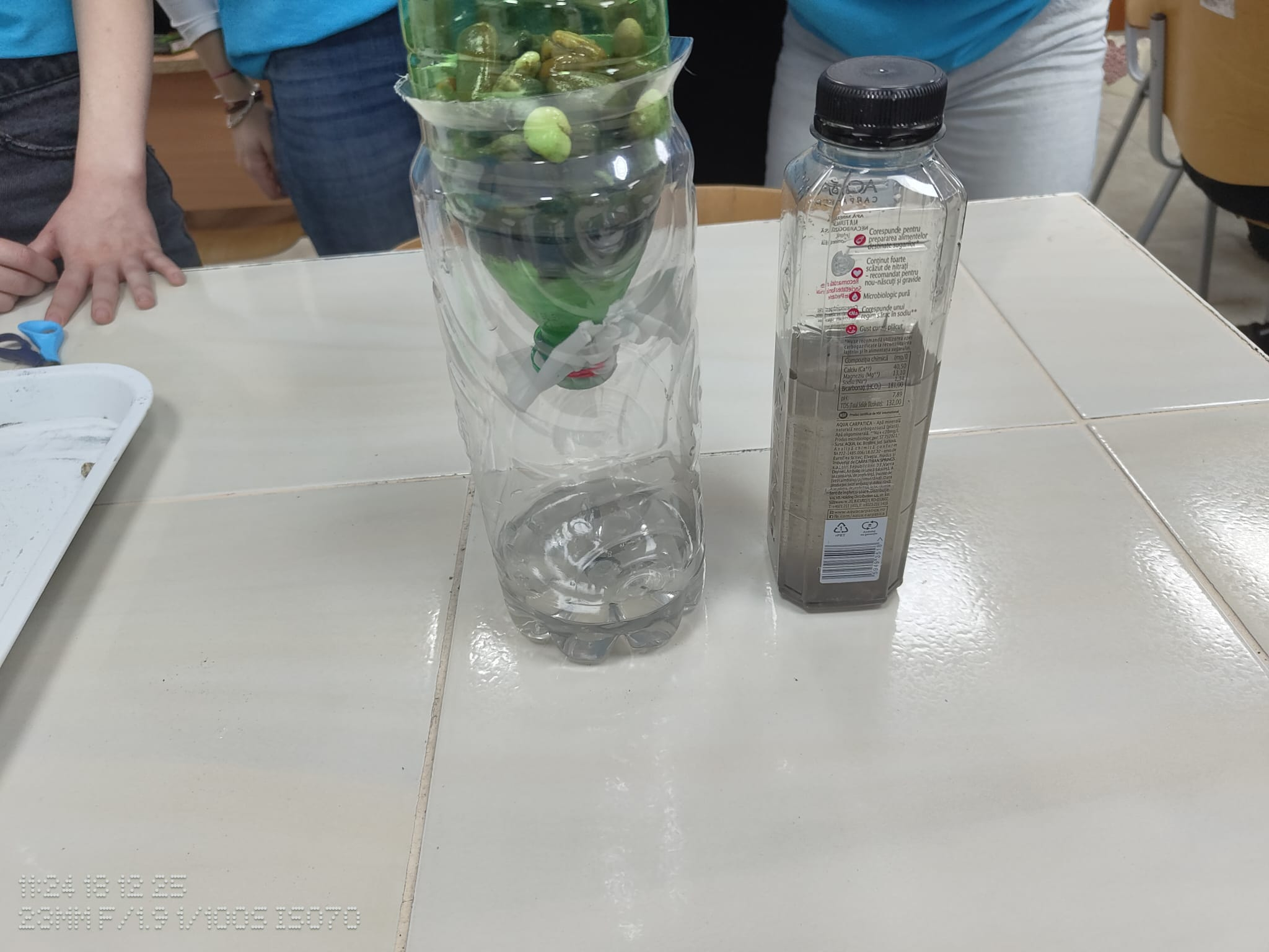 Liceenii de la „Cuza”, implicaţi în protejarea ecosistemelor dunărene