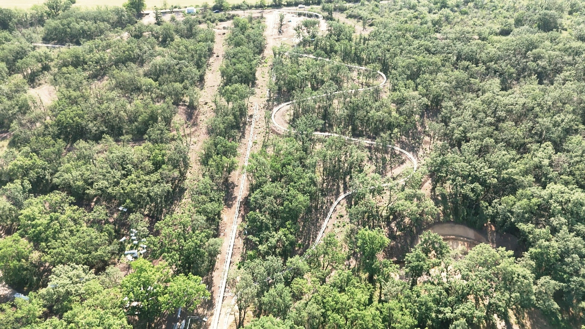 Circuitul copacilor în Pădurea Gârboavele. Defrişări şi plantări făcute anul acesta (FOTO)