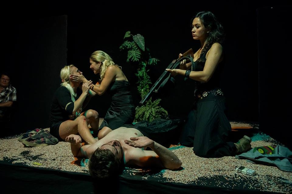 COMEDIE pentru tineri, la Universitatea "Danubius"