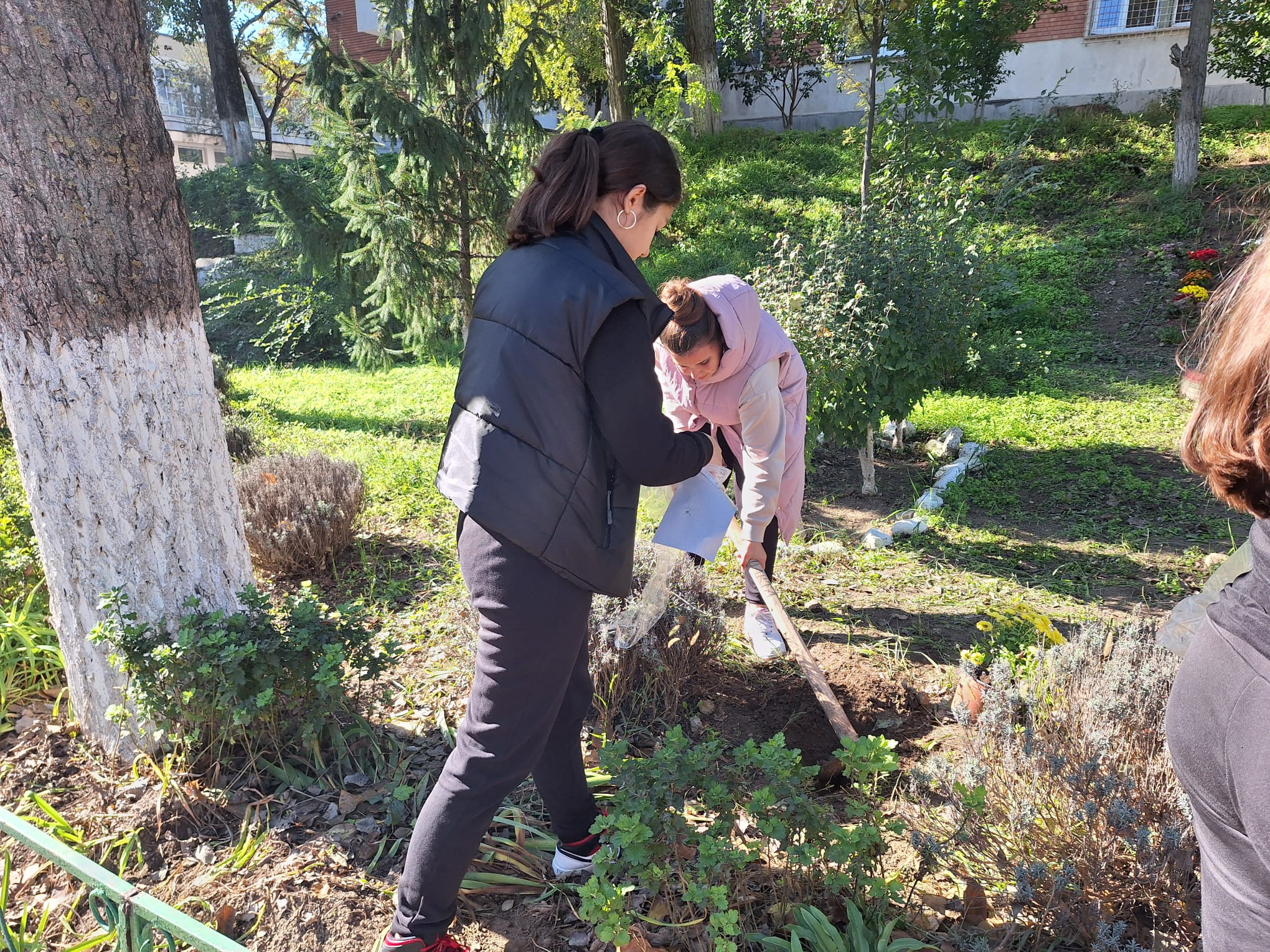 Minipăduri în curțile școlilor din Galați