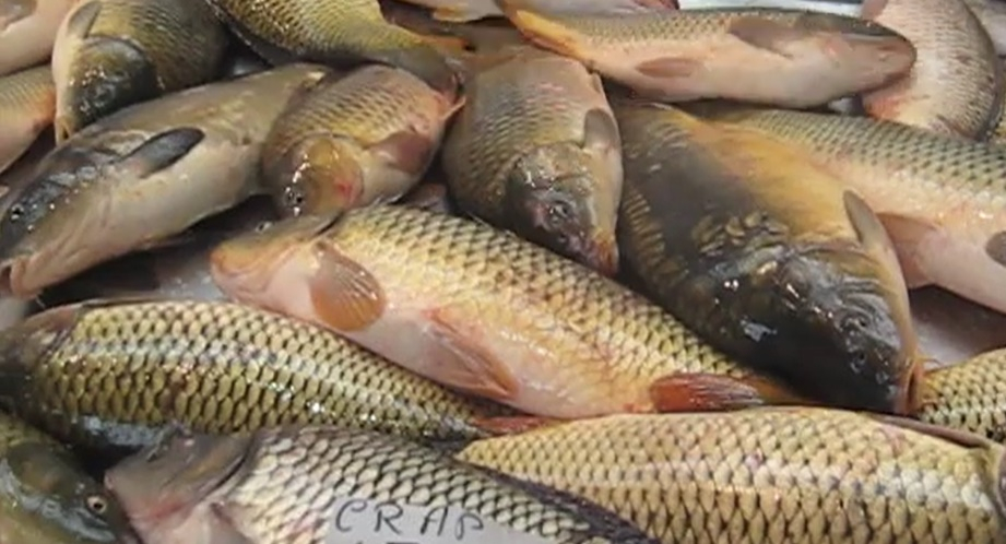 „Captură” de 32 de kilograme de peşte