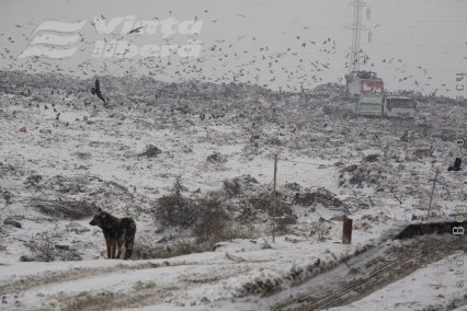 Cadavrul unui bebeluş, aruncat la groapa de gunoi