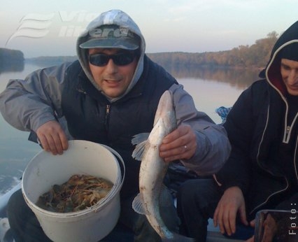 Ştiucă, şalău şi mulţi raci