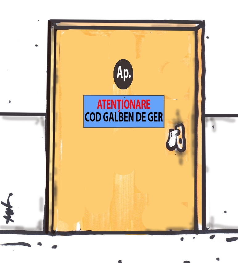 Caricatura 27 ianuarie 2013