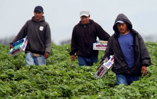 LOCURI DE MUNCĂ ÎN STRĂINĂTATE/ Peste 1.600 de locuri de muncă, disponibile prin EURES