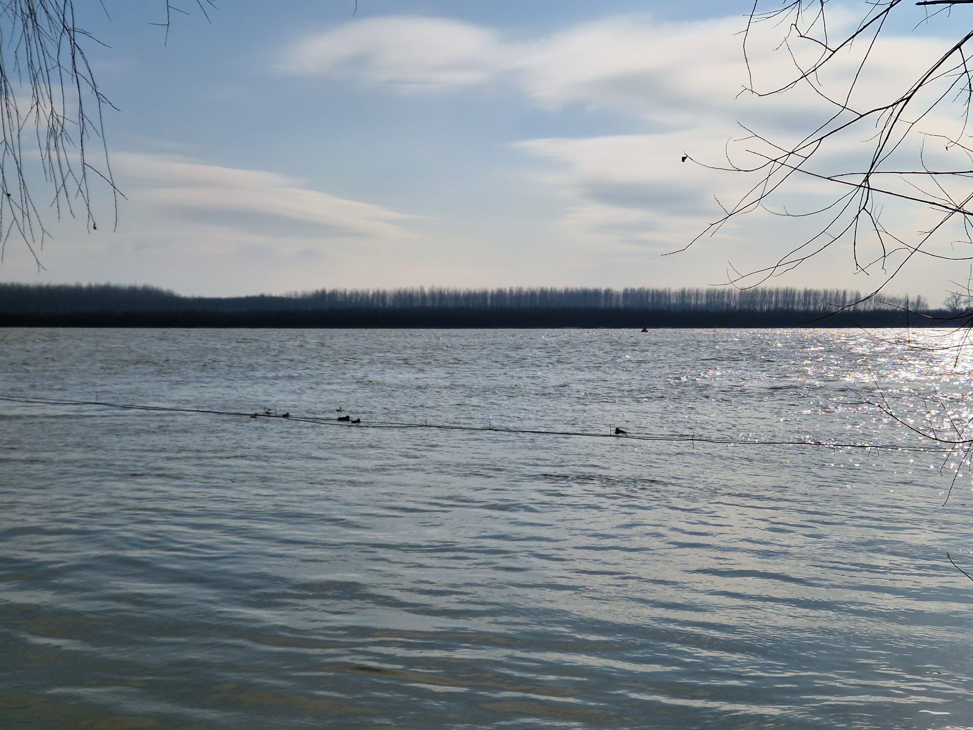 Poza zilei. Liniştea aproape perfectă a Dunării iarna