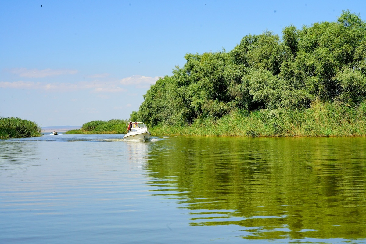 Sport și adrenalină în Galați: cum a devenit Dunărea centrul activităților nautice