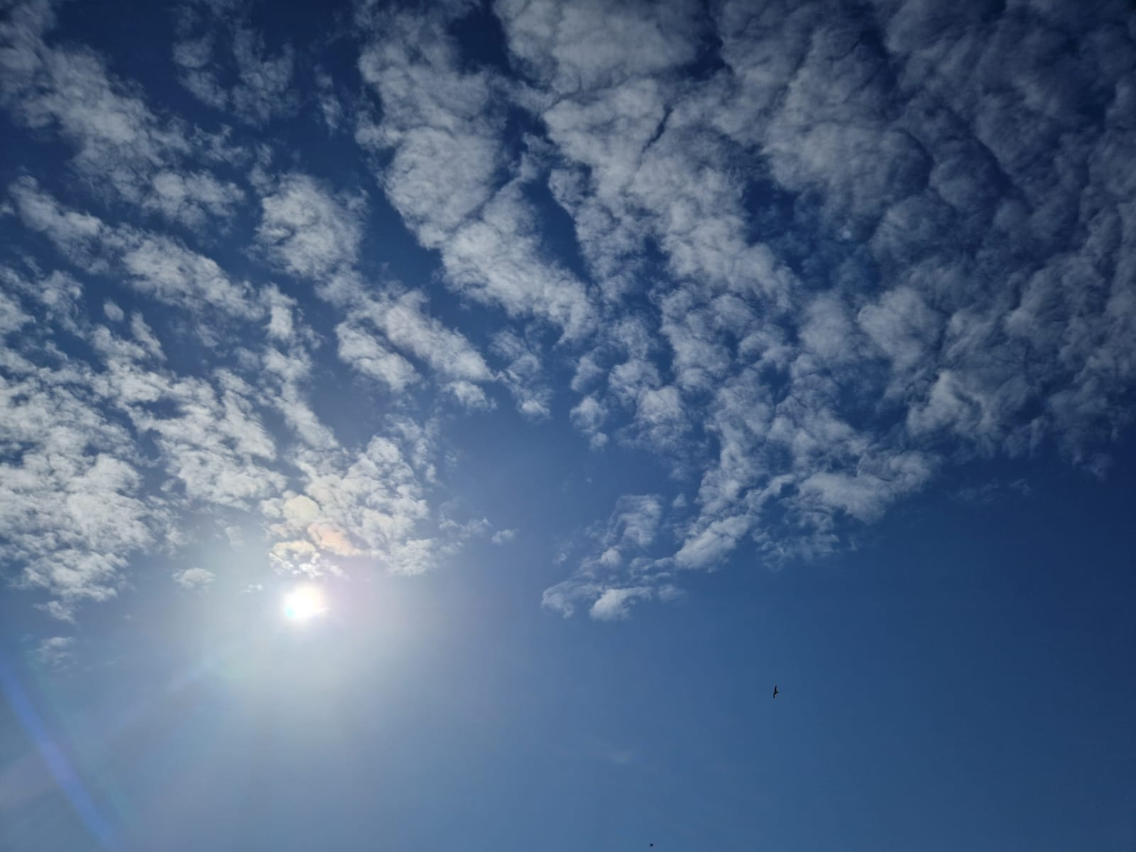 Vânt şi temperaturi în creştere