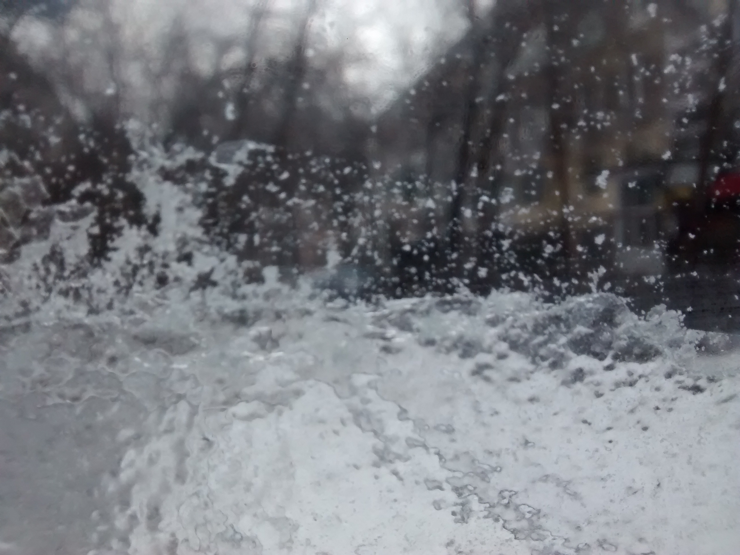 GER NĂPRASNIC în această iarnă