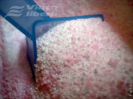 Tu, eu, ei, ele, noi luăm dero