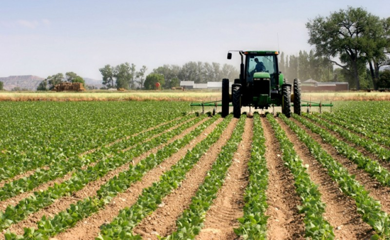 Intră banii în conturile fermierilor