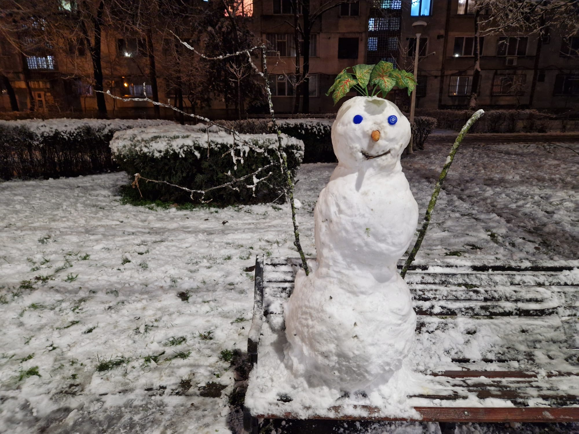 Poza zilei. Unde eşti, cratiţă veche?