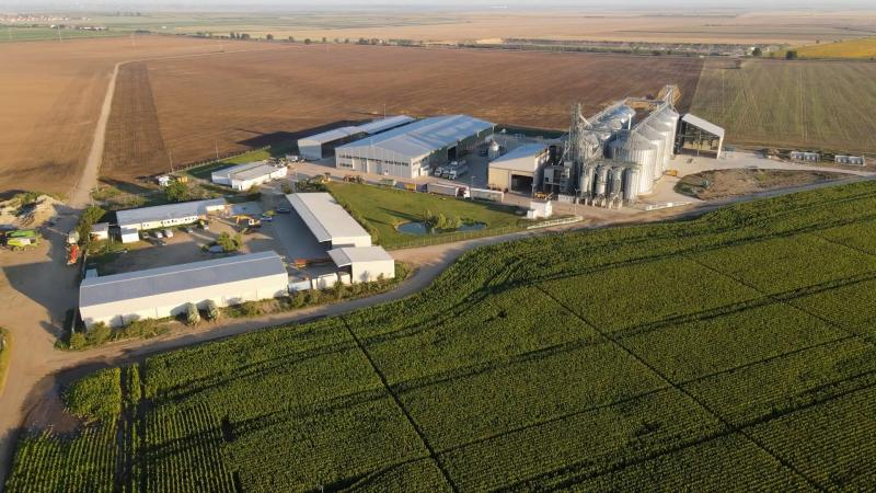 Profituri în scădere pentru fermierii români