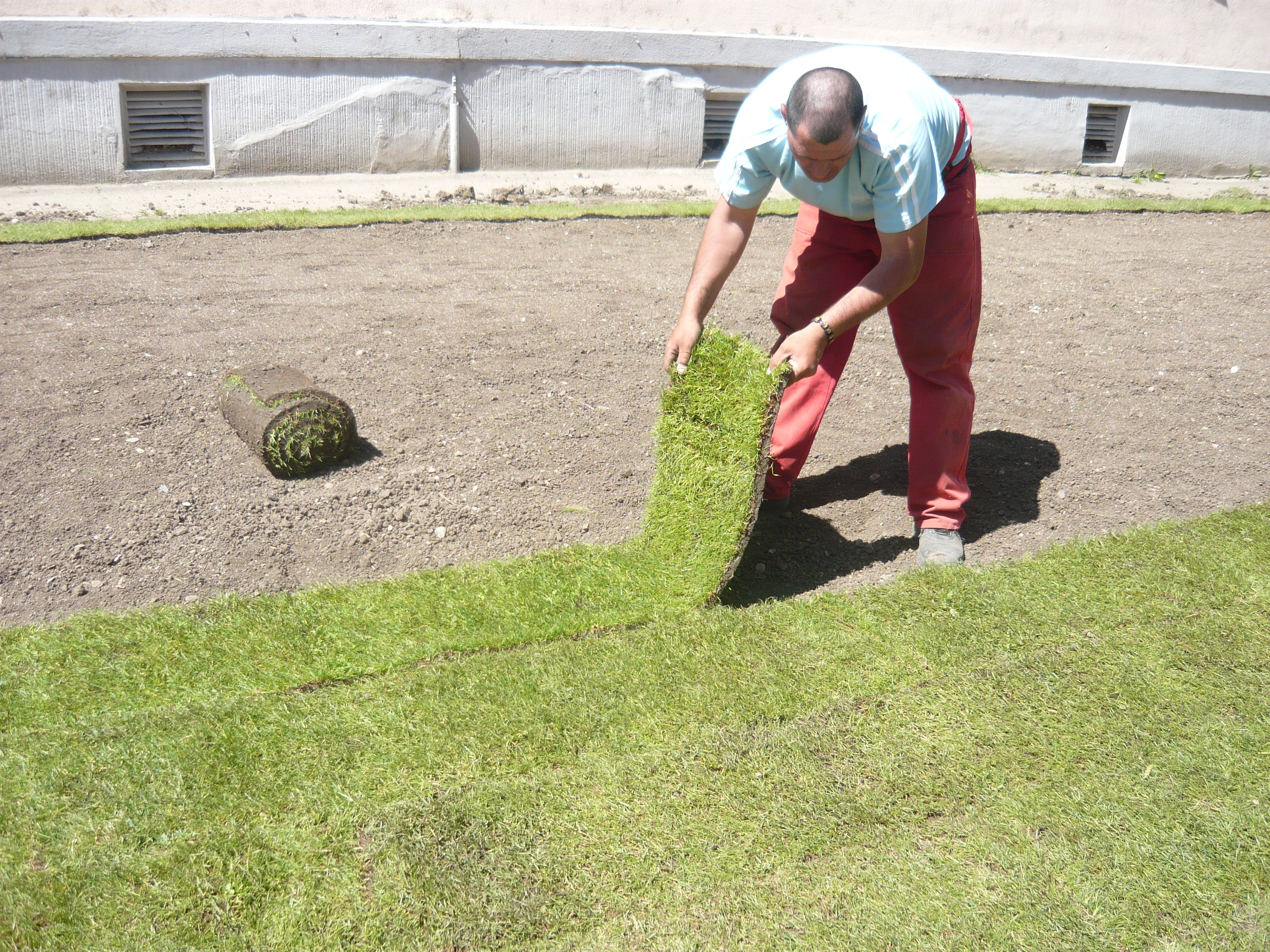 Campusul Studenţesc a înverzit peste noapte, cu o mie de metri pătraţi de gazon