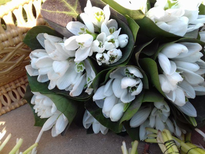 Primăria "sabotează" Valentine's Day