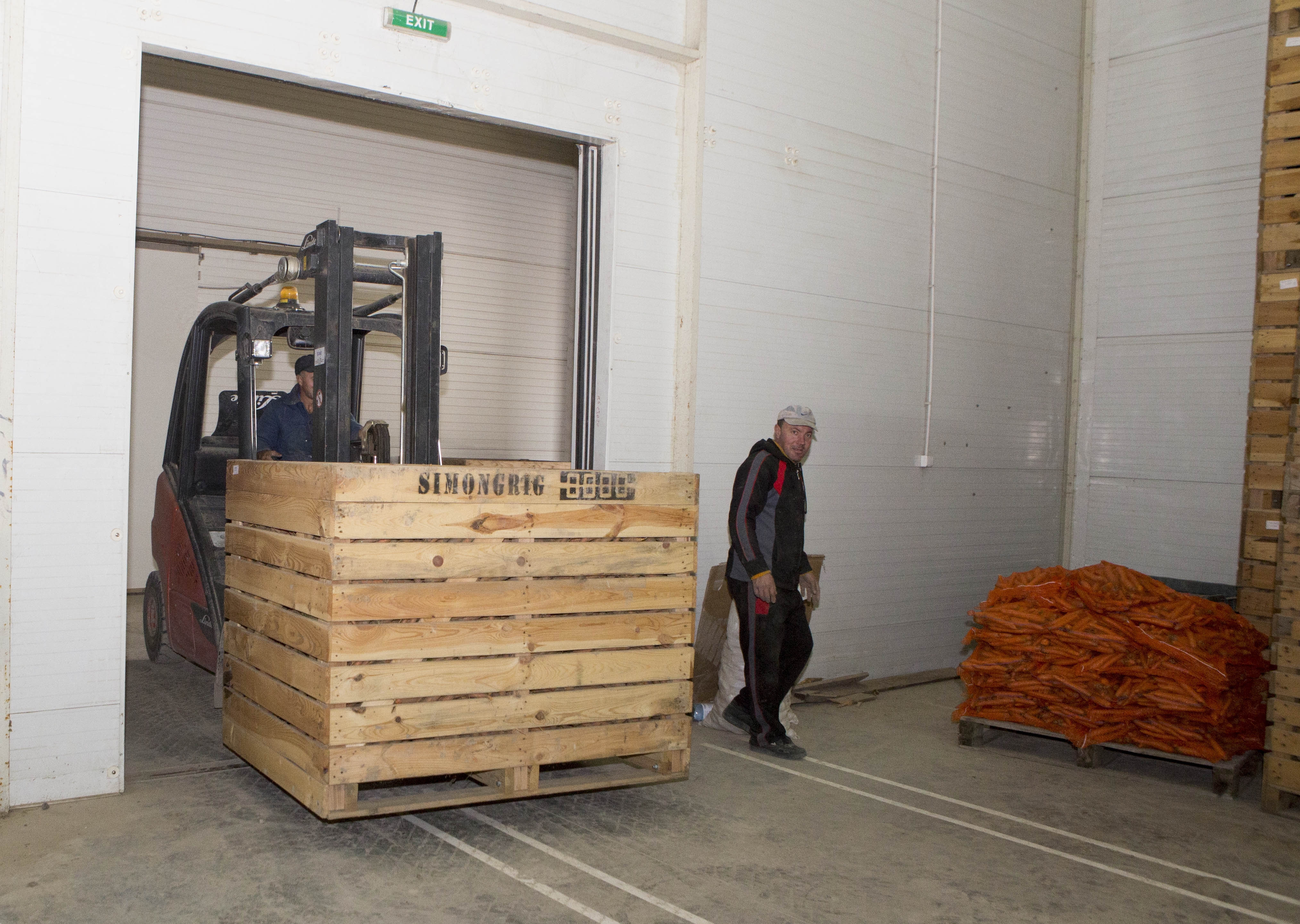 La fermă, LEGUMELE sunt de trei ori MAI IEFTINE ca-n piaţă