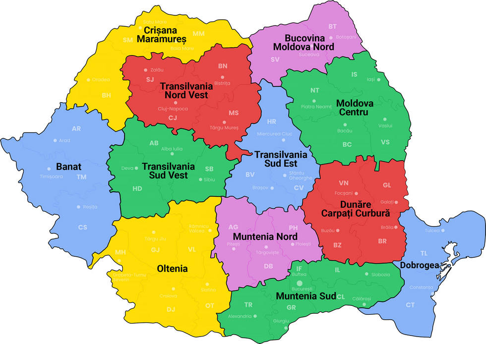 Regionalizarea, îngropată de tăietorii de frunze la câini