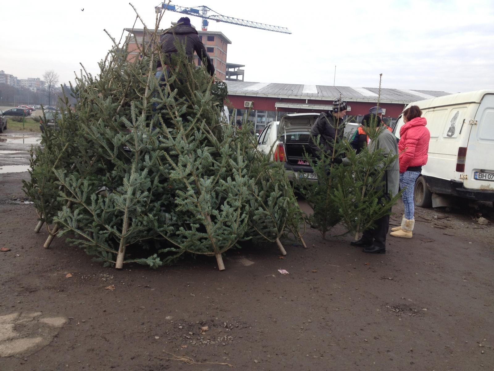 Zeci de BRAZI au fost CONFISCAŢI din pieţele din Galaţi pentru că nu aveau AVIZ