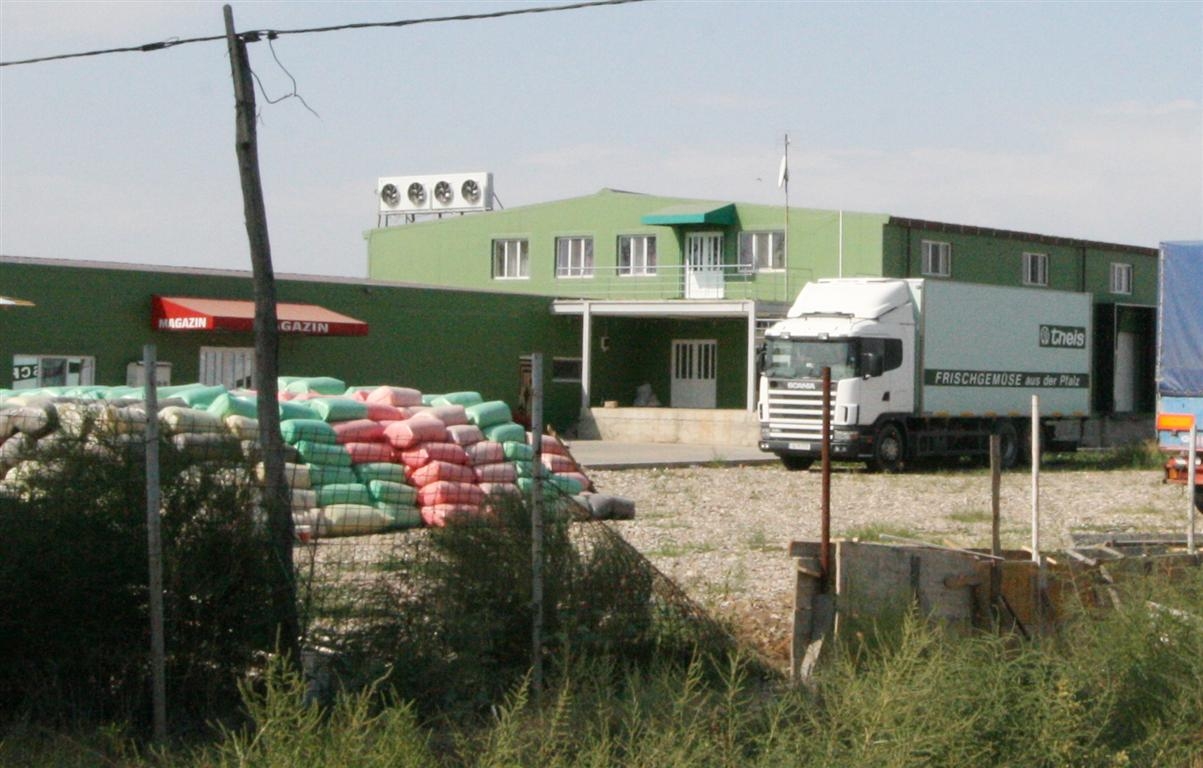 Are sau nu nevoie Matca de frig?