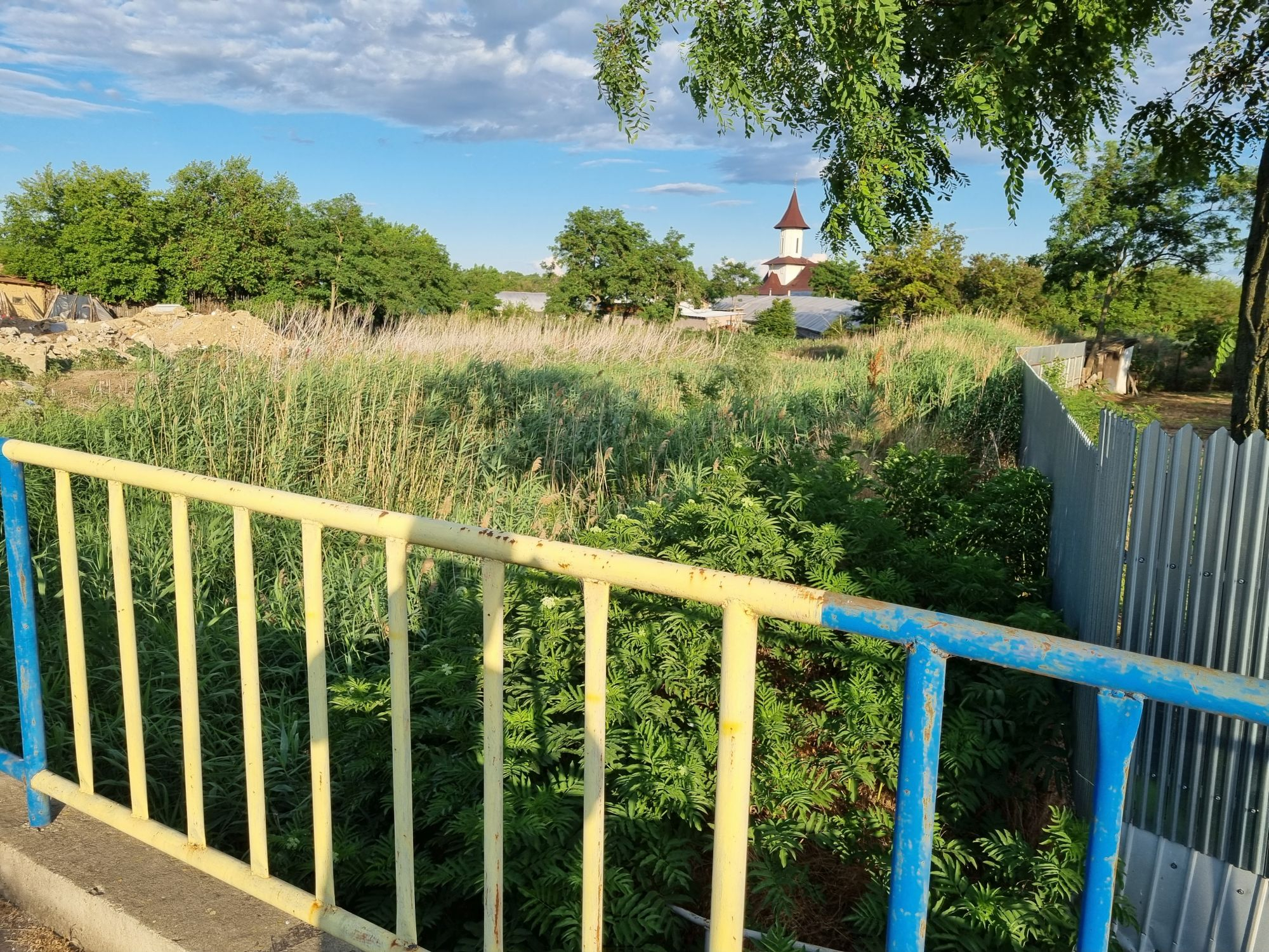 Jungla de pe pârâul Geru. Învățăm ceva din dezastrele trecute? (FOTO)