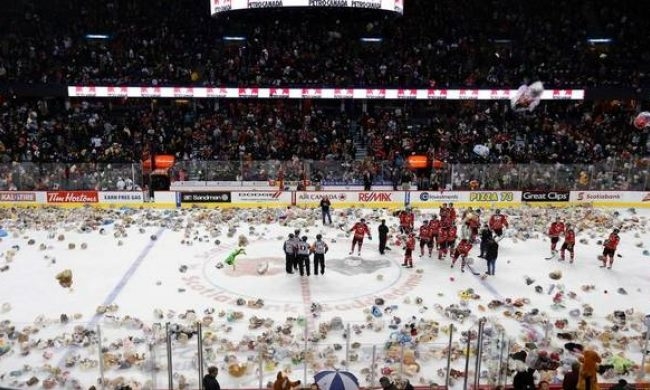 INVITAŢIE din partea campionilor: „Să ningă cu jucării de pluş pe gheaţă!”