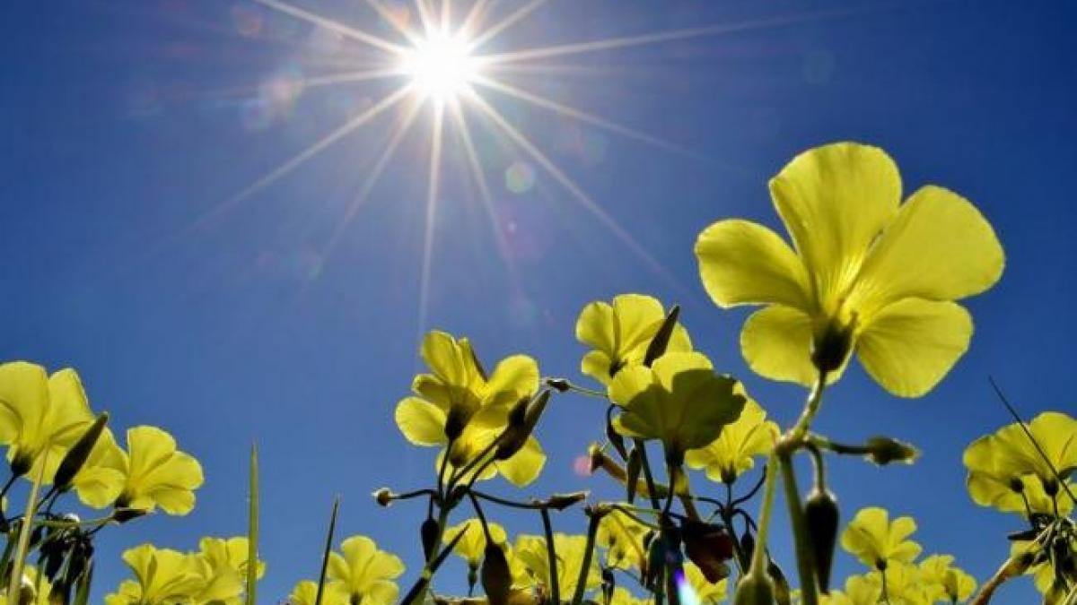 Soarele câștigă teren, iar temperaturile cresc