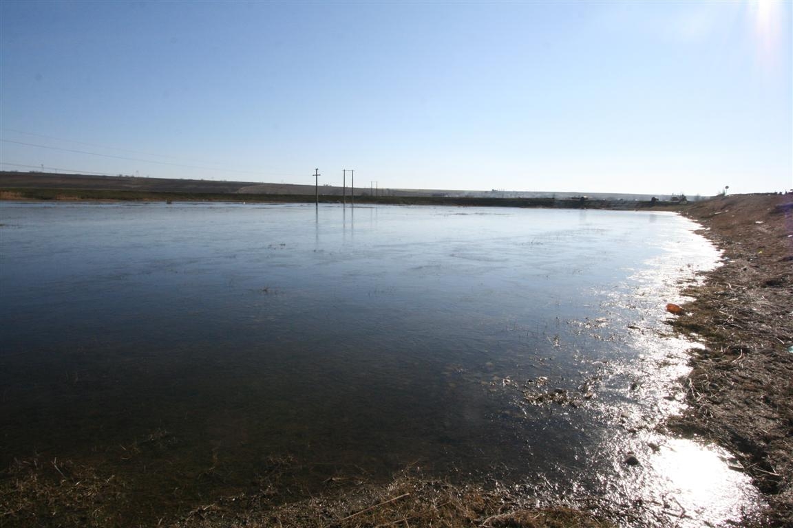 Păşunea subacvatică de la Piscu