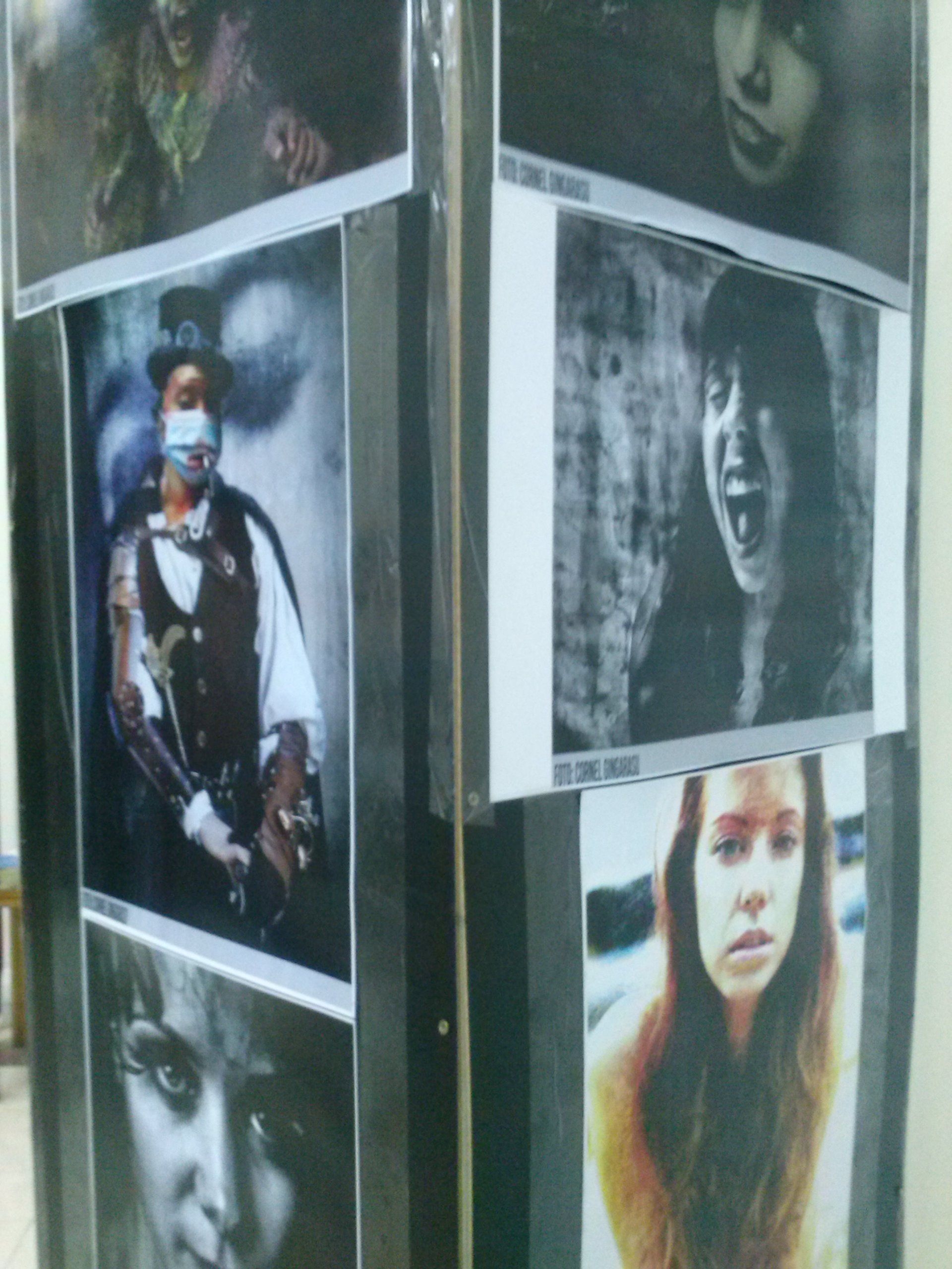 Poezia imaginilor lui Năstase şi Gingăraşu