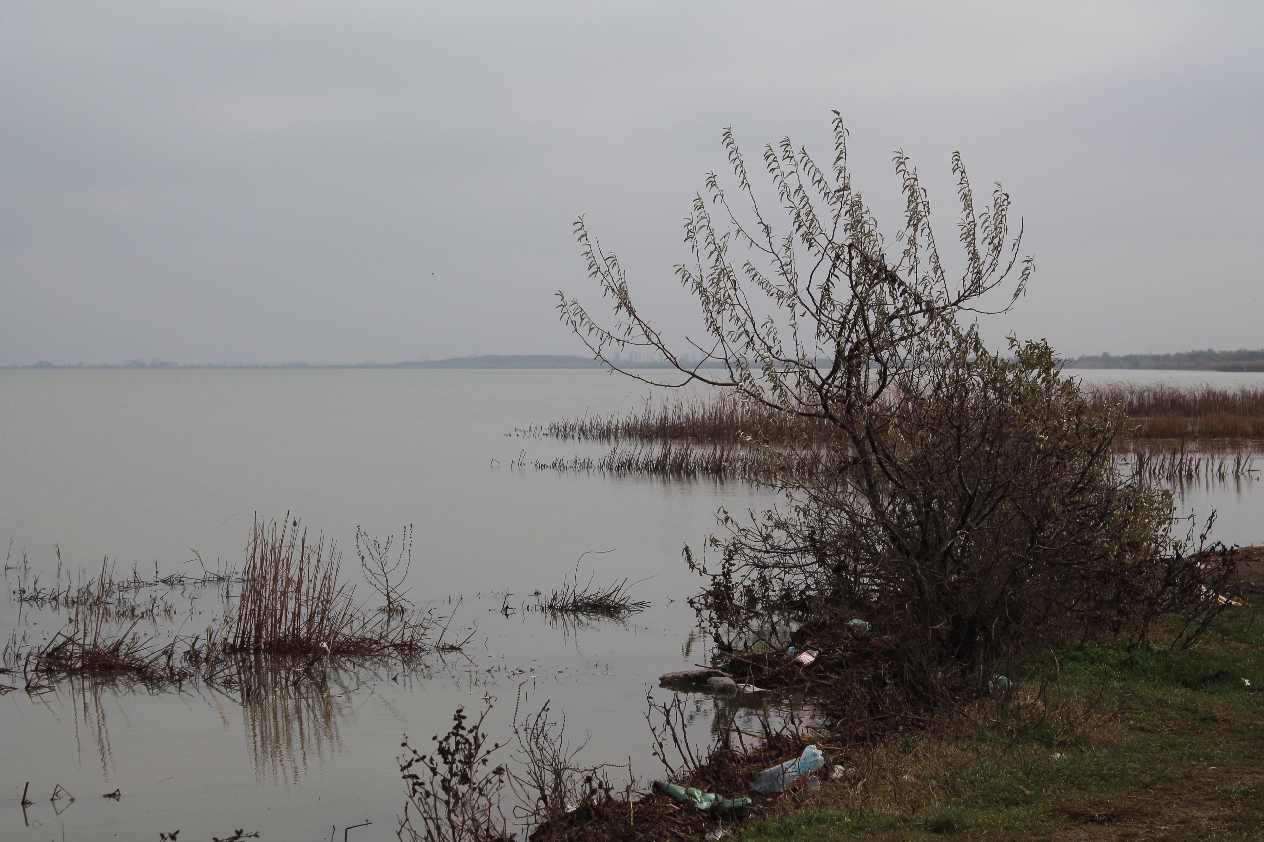 În agonie, visând la extaz: N-are cine lua milioanele pentru lacul Brateş