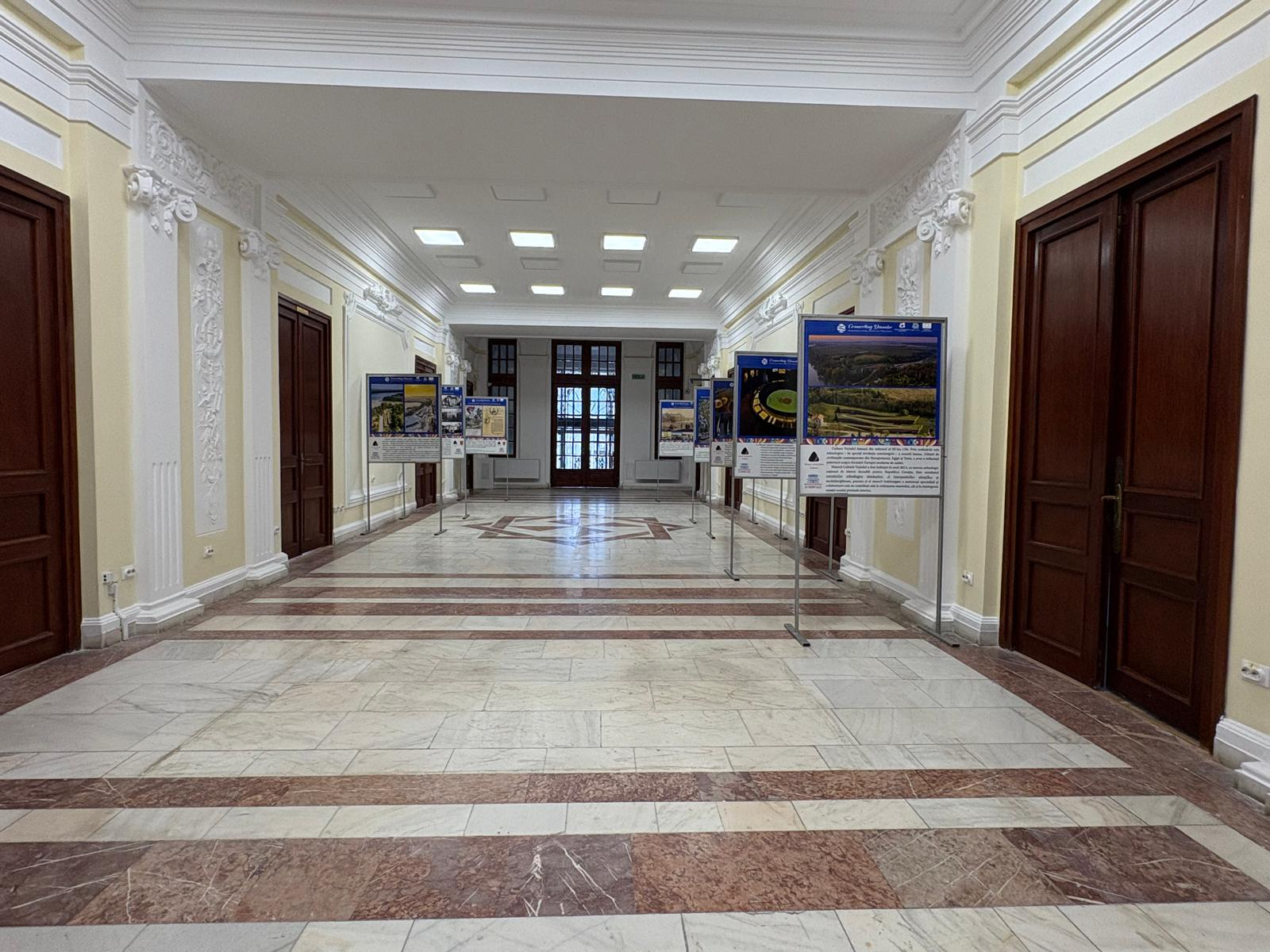 Cine vrea să finalizeze renovarea Bibliotecii "V. A. Urechia”