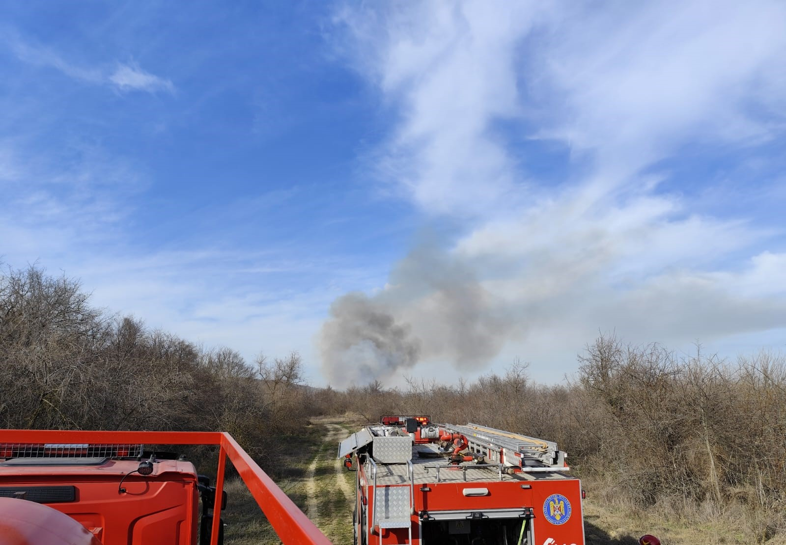 15 hectare de pe malul Brateșului, arse din neglijență