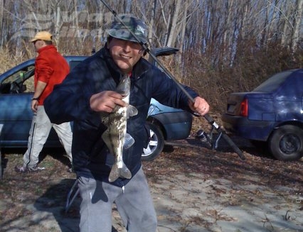 Toamna şalăului, pe Dunăre