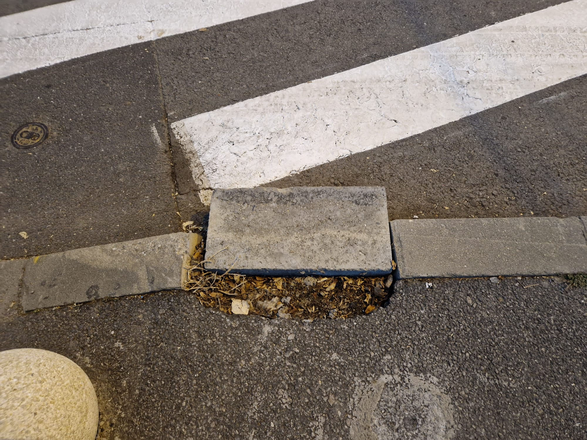 Poza zilei. Cine-a uitat bordura invers?