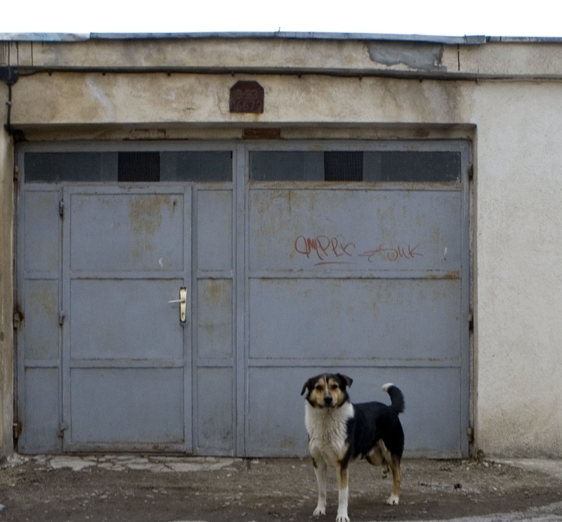 Primăria nu are curaj să discute despre garaje 