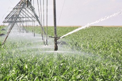 S-a dat apă pe terasa Vânători