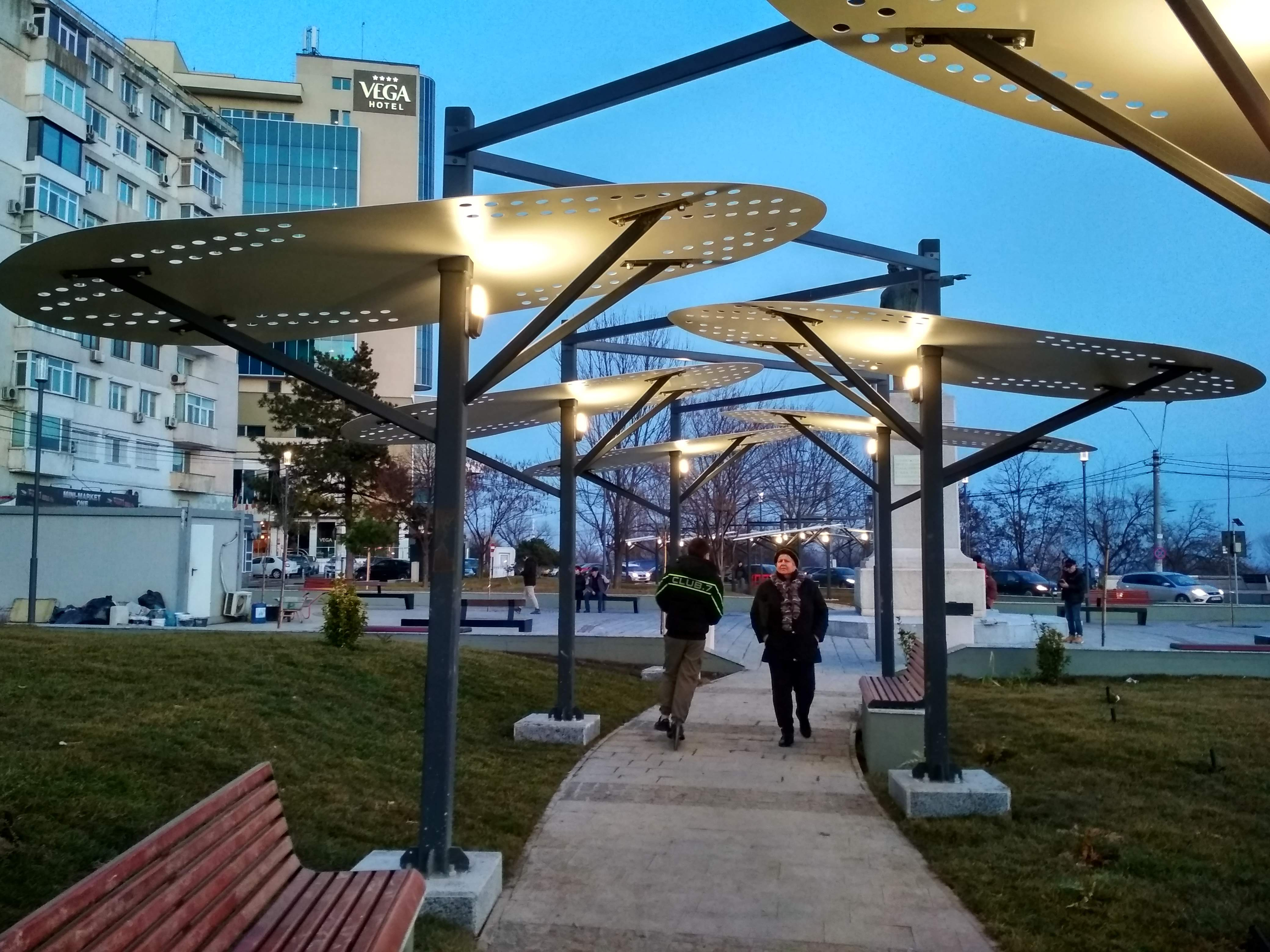 Poza zilei. Copacii „multifuncționali” de la Elice