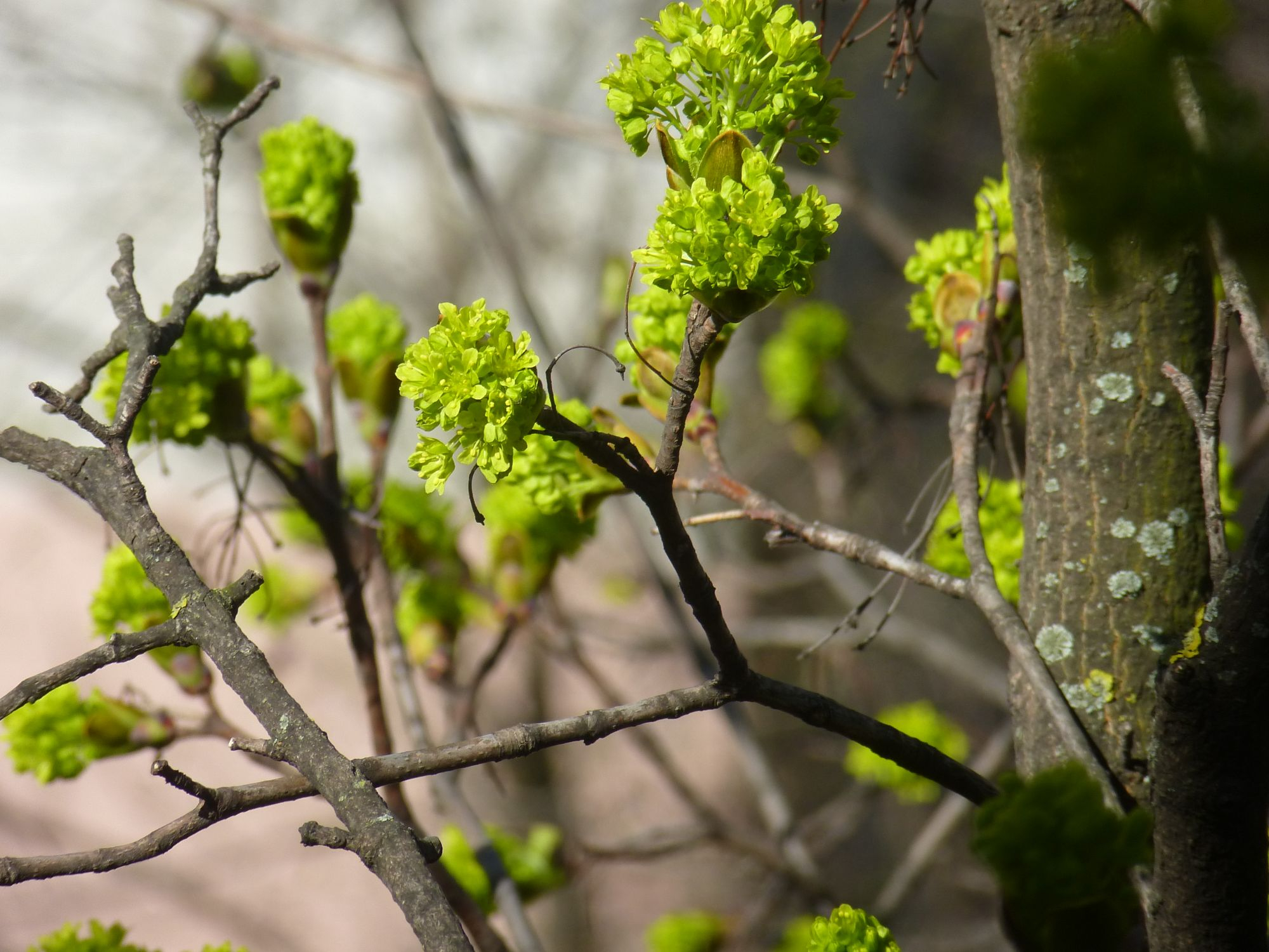 PROGNOZA METEO | Cum va fi vremea, în acest WEEKEND, la Galați