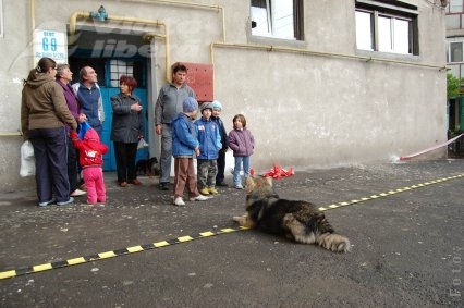 Opt inculpaţi trimişi în judecată după violenţele din Micro 18