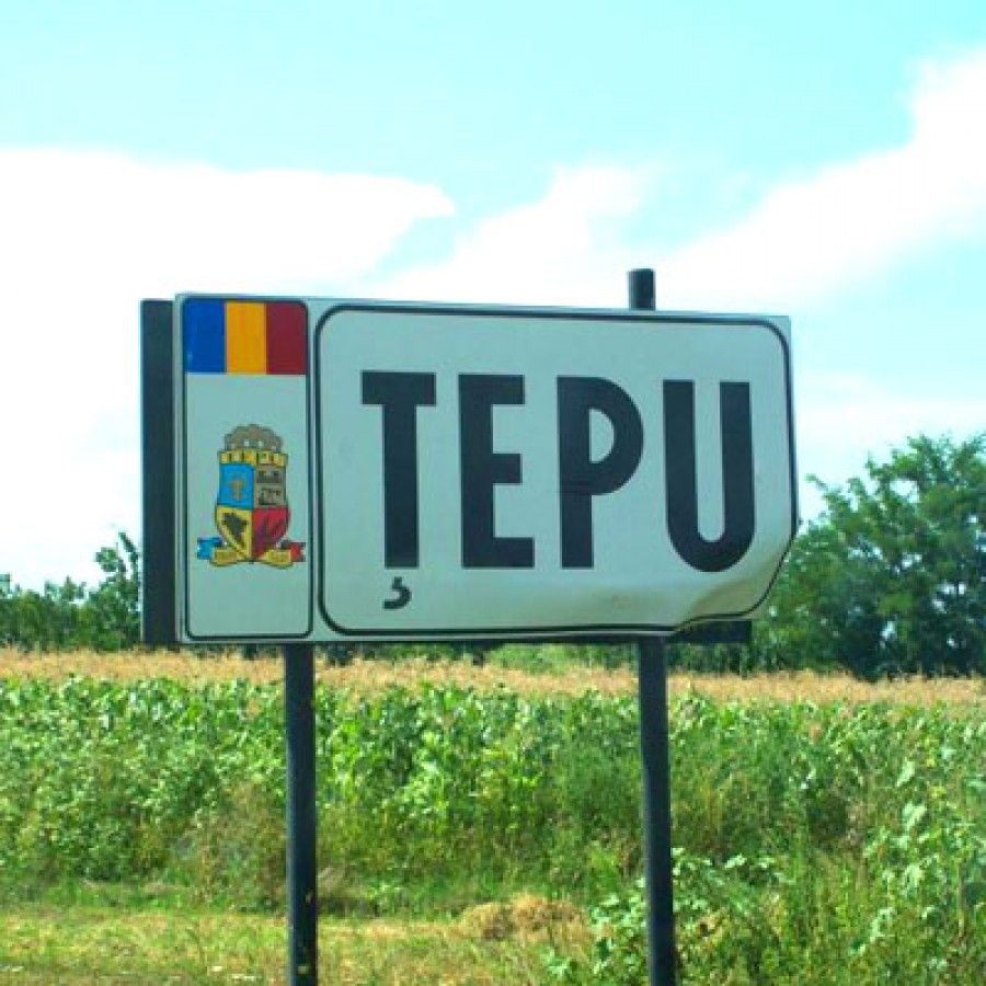 Apele uzate, tot la pârău: Staţie de epurare pe post de bibelou