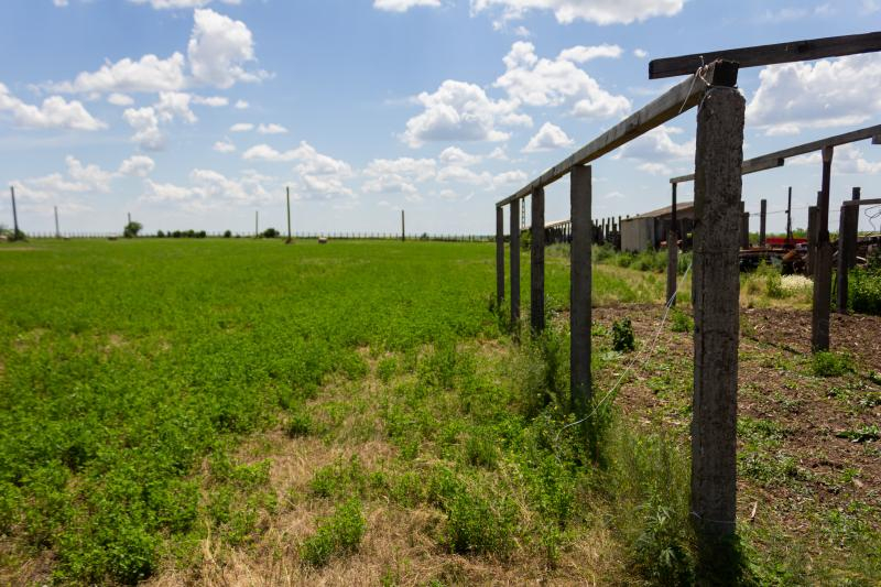 Istoria unei datorii apărute de nicăieri. De la zero la peste 20.000 de lei