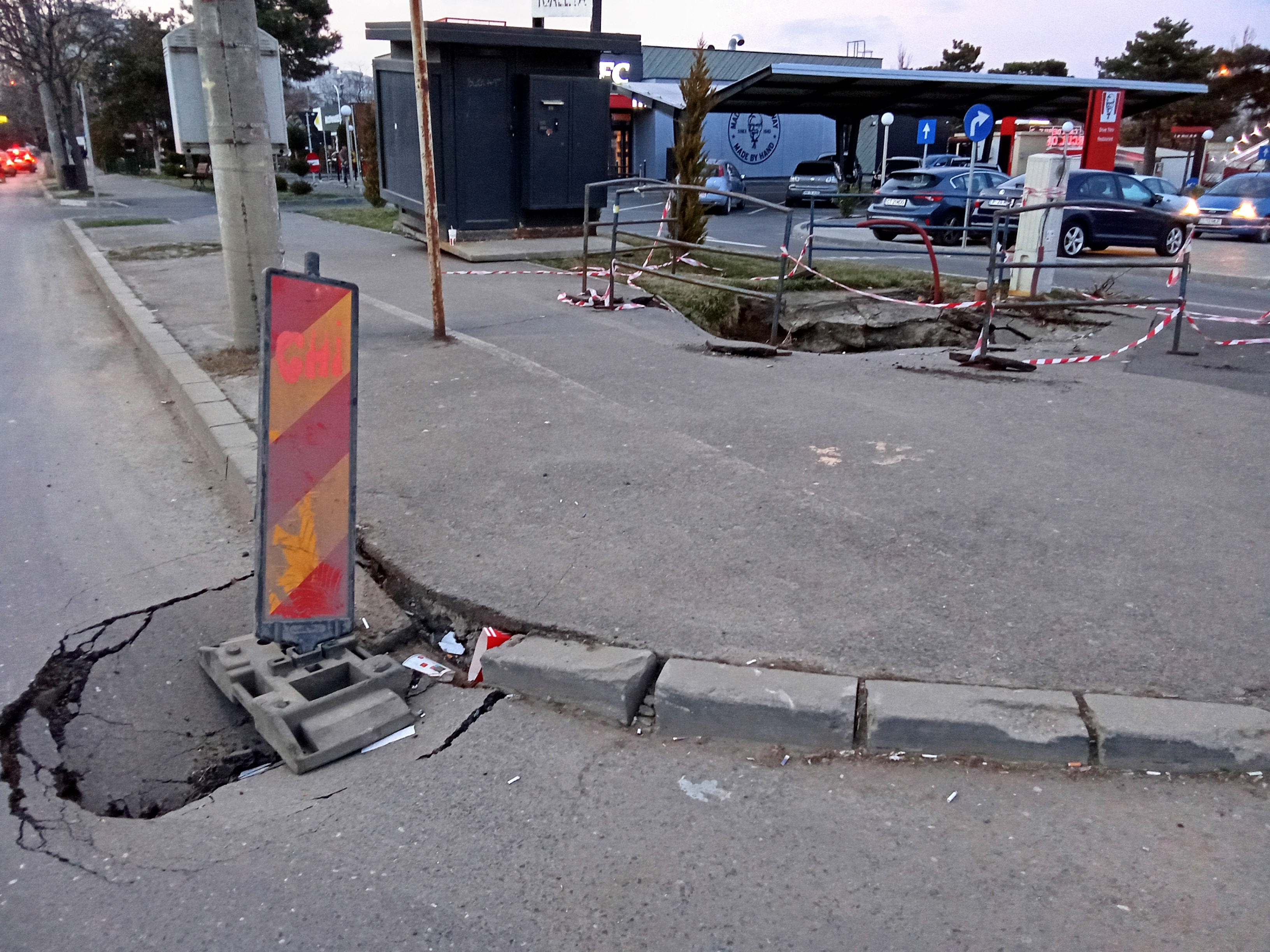 Poza zilei. Craterul din Micro 19 a „născut” un pui pe carosabil