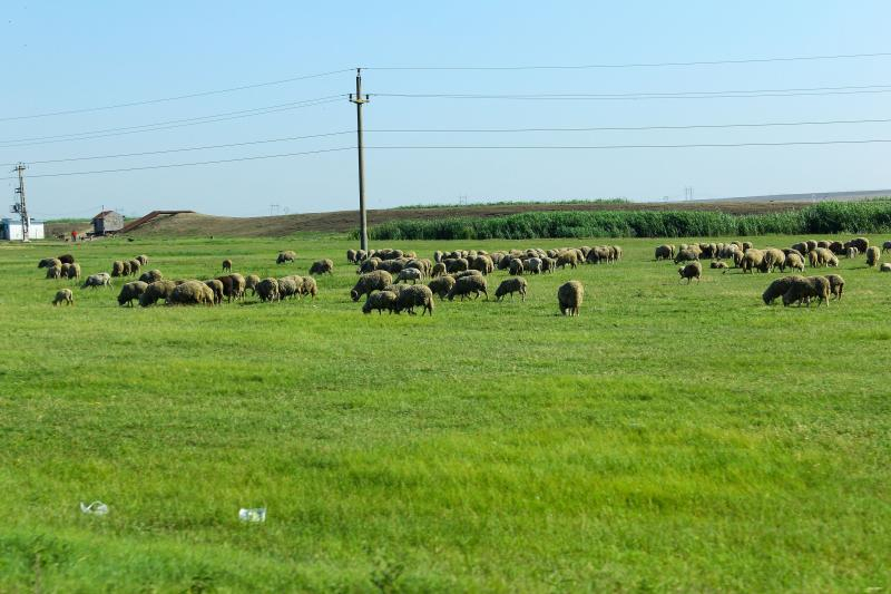 O uniune a fermierilor solicită demiterea conducerii AFIR
